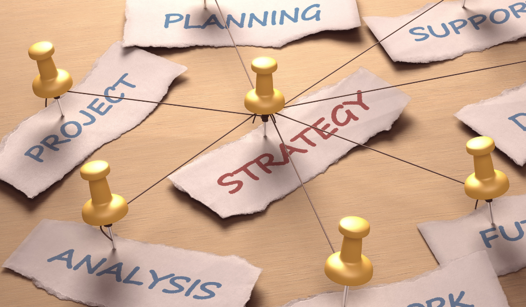 How Reporting Transforms Business Strategy blog image